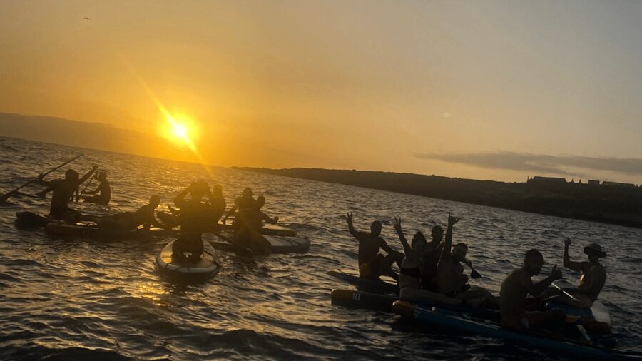 Tenerife: Sunset Stand-Up Paddleboarding Tour - Key Points You’ll Actually Care About