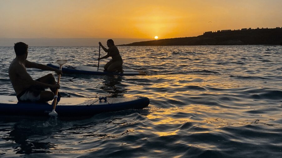 Tenerife: Sunset Stand-Up Paddleboarding Tour - Getting Up on the Board Without Turning It Into a Stress Test