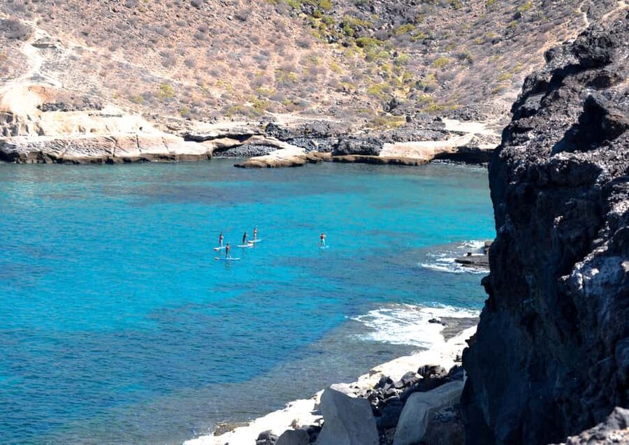 TENERIFE SUR: Paddleboarding tour and SNORKEL - The 2.5 hours that work for beginners and improvers