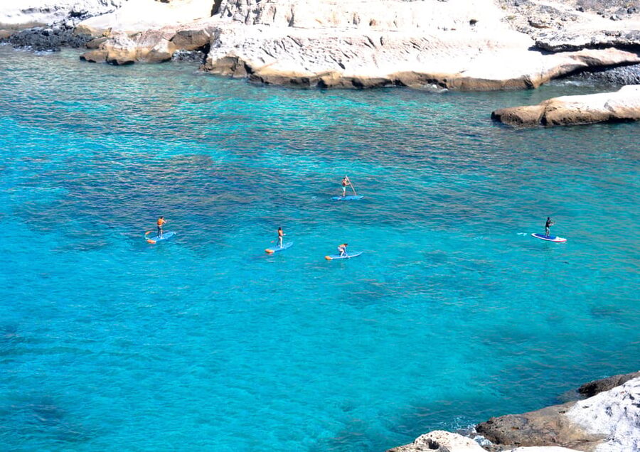 TENERIFE SUR: Paddleboarding tour and SNORKEL - Small-group energy and multi-language instruction