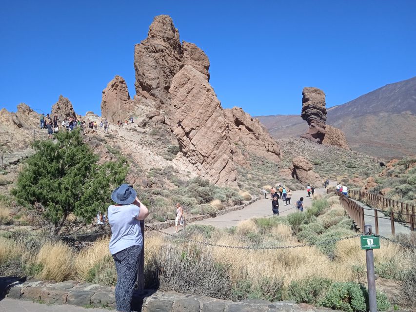 Tenerife: Teide, Icod de los Vinos & Garachico Full Day Tour - The Bus Ride Experience: Comfort, Driver Skills, and Road Expectations