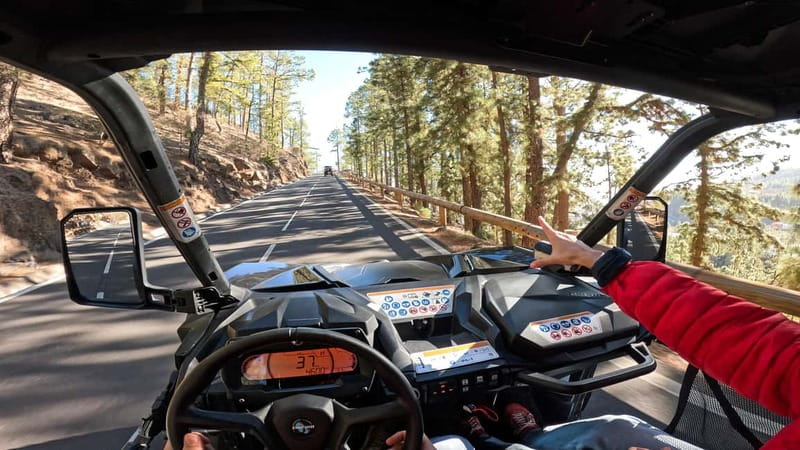 Tenerife: Teide National Park Guided Buggy Tour - From Las Chafiras to Teide, With Towns and Views Along the Way