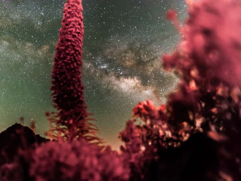 Tenerife: Teide Stargazing with an Astrophysicist - Value check: is $47 worth it for 90 minutes at Teide?