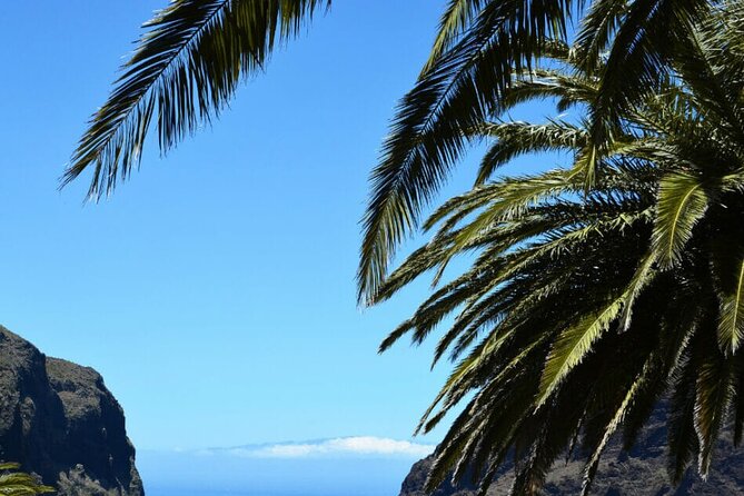 Tenerife Tour Mt. Teide and the Towns of Icod, Garachico, Masca - Guide and bus experience: comfort, multilingual narration, and the driver matters