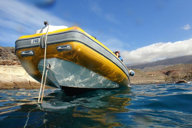 Tenerife Turtle and Snorkel Tour from Costa Adeje - Safety and comfort: what you should check before you commit