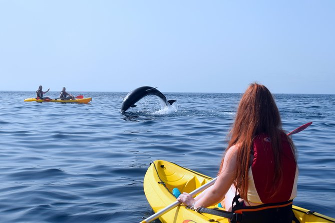 Tenerife: Turtle & Dolphin Kayak Tour with Snorkel & Wetsuit - How physical is it, really?