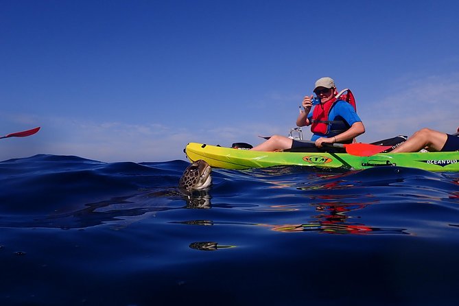 Tenerife: Turtle & Dolphin Kayak Tour with Snorkel & Wetsuit - Swimming is mandatory, so treat safety as the main course