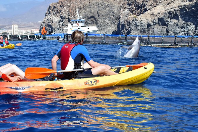Tenerife: Turtle & Dolphin Kayak Tour with Snorkel & Wetsuit - Gear comfort and cold water reality