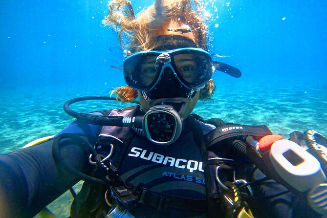 Tenerife Under The Sea - dive into 1-1 personalised experience - Tenerife Marine Life: What You Can Hope to See
