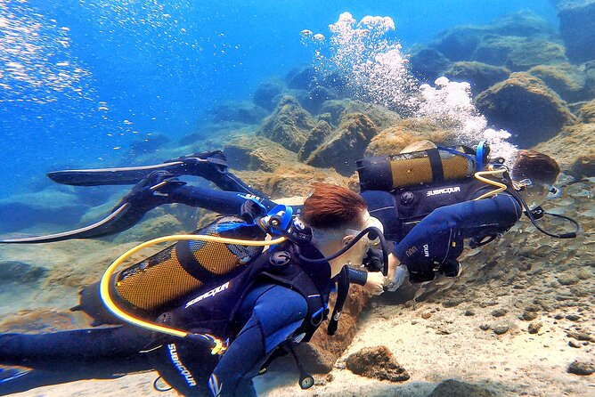 Tenerife Under The Sea - dive into 1-1 personalised experience - Meeting Point in Santa Cruz de Tenerife: Easy to Find, Easy to Start