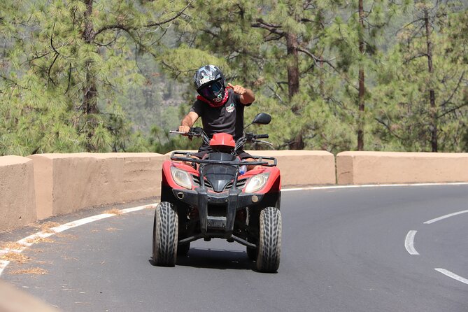 Tenerife Volcano Quad Tour - Mount Teide base and lava fields: The view that makes the tour click