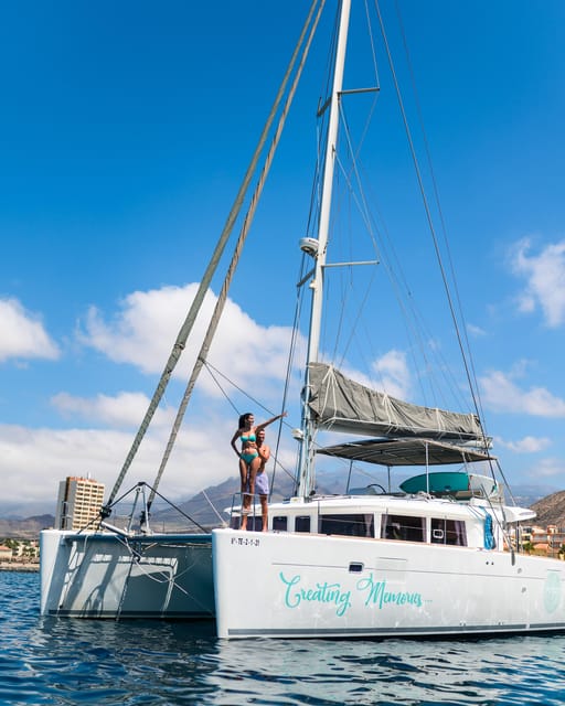 Tenerife: Whale and Dolphin Watching Boat Tour - The 1-hour whale watching session: how to make the most of it