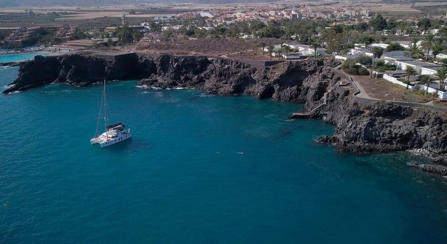 Tenerife: Whale and Dolphin Watching Boat Tour - Getting to Marina South and the fast shuffle to Las Galletas