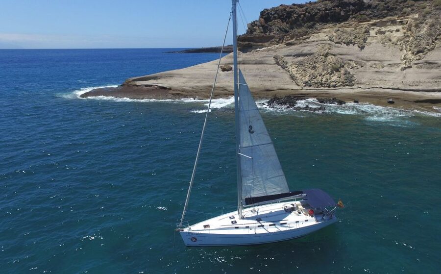 Tenerife: Whale and Dolphin Watching Tour by Sailboat - Key Things to Know Before You Go