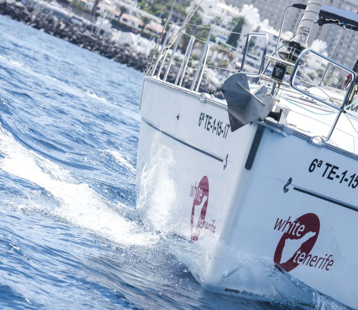 Tenerife: Whale and Dolphin Watching Tour by Sailboat - The Coast View Part You Do Not Want to Skip