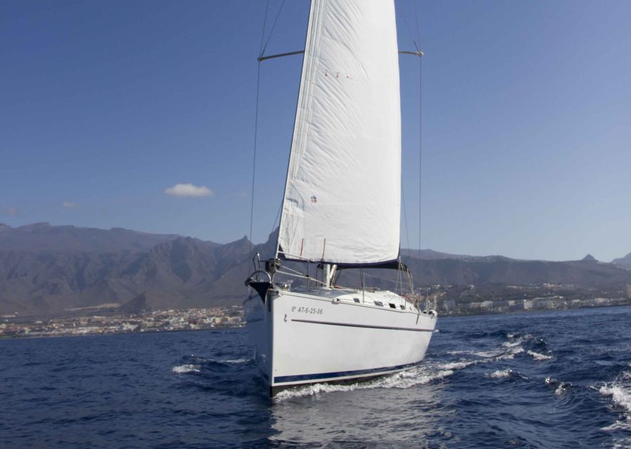 Tenerife: Whale and Dolphin Watching Tour by Sailboat - Getting on Board at Puerto Colón (Dock 8) Without Stress