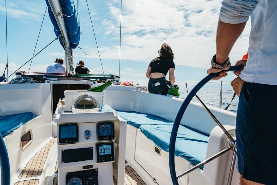 Tenerife: Whale & Dolphin Watching with Drinks and Snacks - Who should book this, and who should skip it