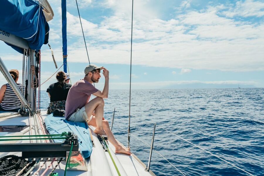 Tenerife: Whale & Dolphin Watching with Drinks and Snacks - The 20-minute van ride: short and useful, if you show up on time