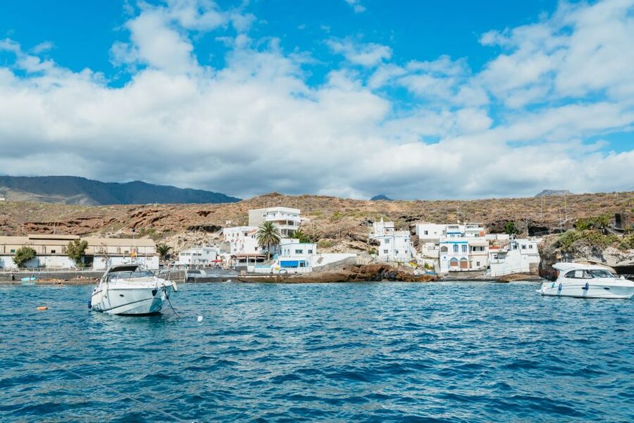 Tenerife: Whale & Dolphin Watching with Drinks and Snacks - What to pack for Southern Tenerife sea time (and what to bring just in case)