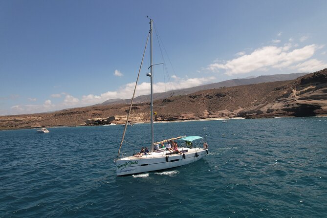 Tenerife Whale Watching and Snorkeling Yacht Trip - Playa del Puertito swim and snorkel, with turtles on the wish list