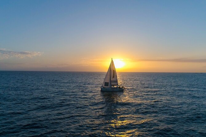 Tenerife Whale Watching and Snorkeling Yacht Trip - Price and value check for $62.68, plus who gets the best deal