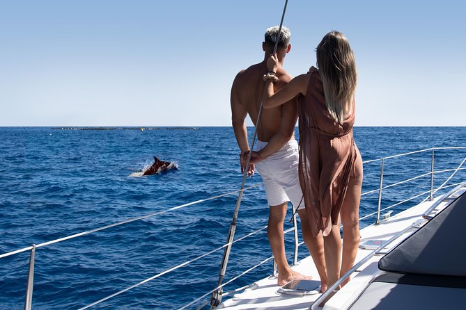 Tenerife Whale watching on private charter - Private charter on the Abrazo: what luxury looks like here