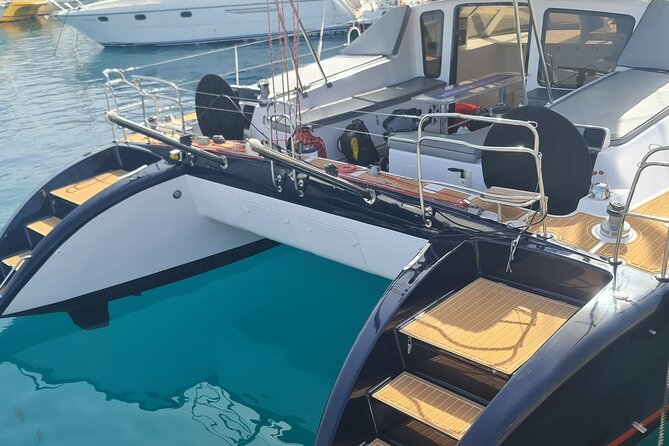 Tenerife Whale watching on private charter - How the whale and dolphin search actually feels on a charter
