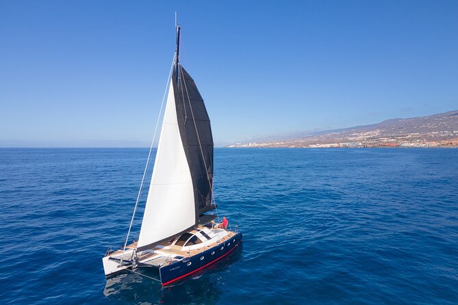 Tenerife Whale watching on private charter - Anchor time in a quiet cove: swim and snorkel like a local