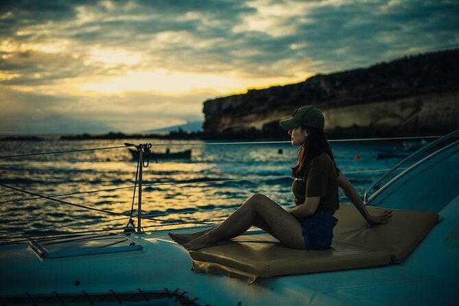 Tenerife Whale watching on private charter - Value check: what $1,055.39 covers for up to 12
