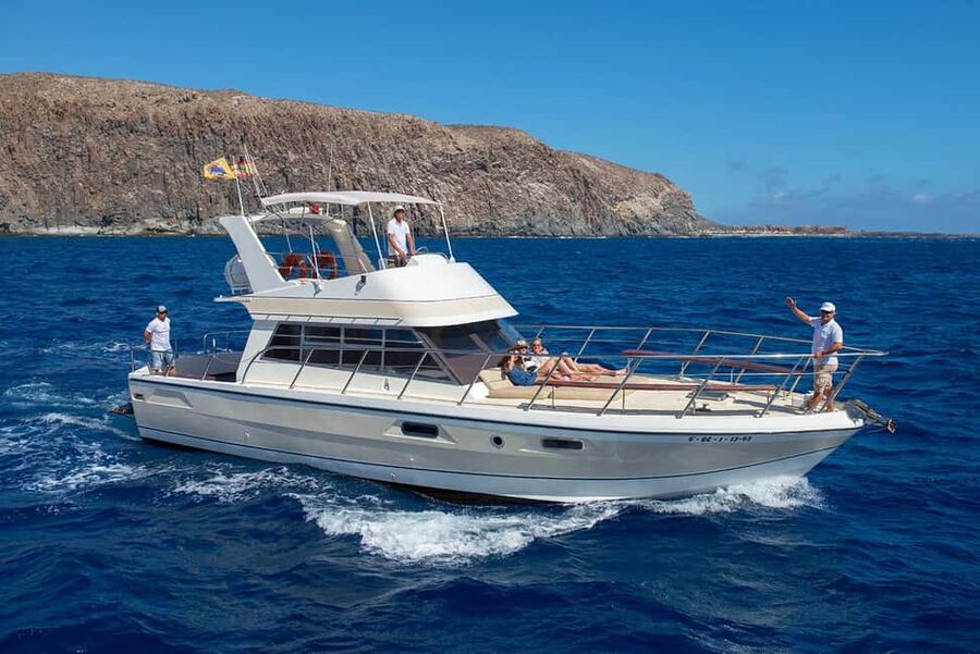 Tenerife: Whale watching tour with swim and lunch on yacht for 22 passengers - Pilot whale country: why this cruise fits Tenerife’s west-coast vibe