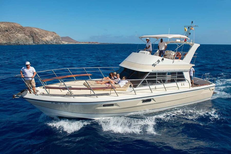 Tenerife: Whale watching tour with swim and lunch on yacht for 22 passengers - The yacht experience on Neptuno: comfort first, views always