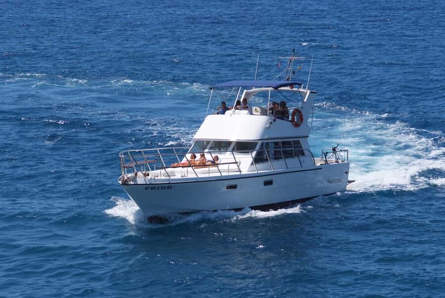 Tenerife: Whale watching tour with swim and lunch on yacht for 22 passengers - Where to sit: upper deck for spotting, salon for comfort