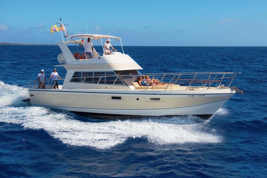 Tenerife: Whale watching tour with swim and lunch on yacht for 22 passengers - Getting to the port: many pickup options, or meet at Los Cristianos