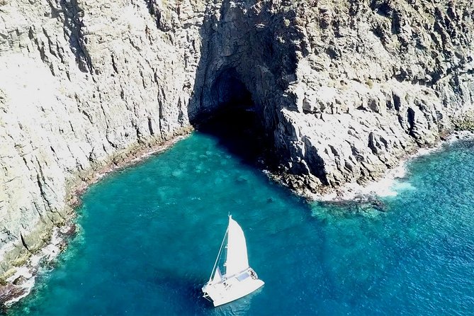 Tenerife Whales and Dolphins Watching Experience in Catamaran - Guides and animal welfare talk: why the crew matters