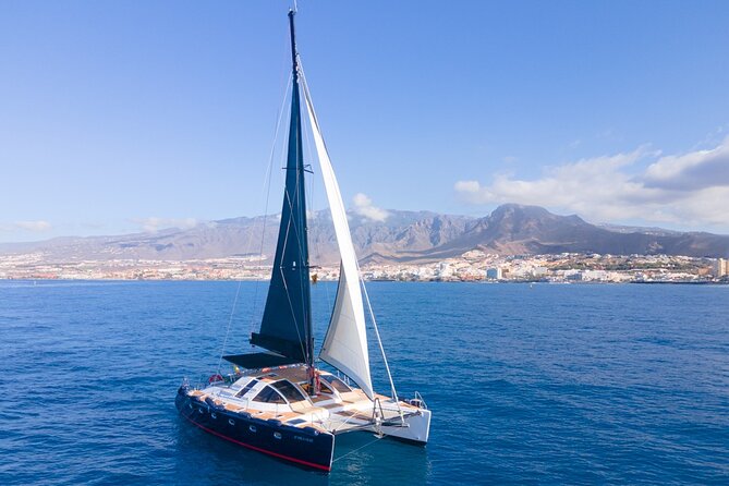 Tenerife Whales and Dolphins Watching Experience in Catamaran - Price and value: is $68.98 a fair deal?