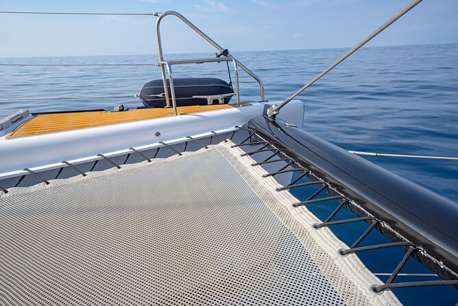 Tenerife Whales and Dolphins Watching Experience in Catamaran - Weather, wildlife odds, and how to choose your day