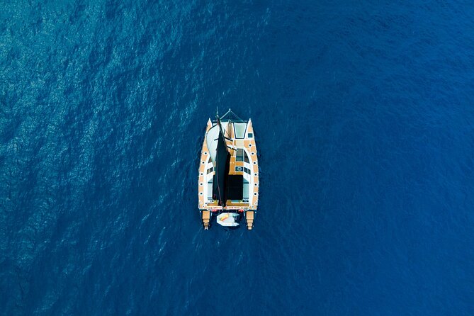 Tenerife Whales and Dolphins Watching Experience in Catamaran - Should you book this Tenerife whale and dolphin catamaran tour?