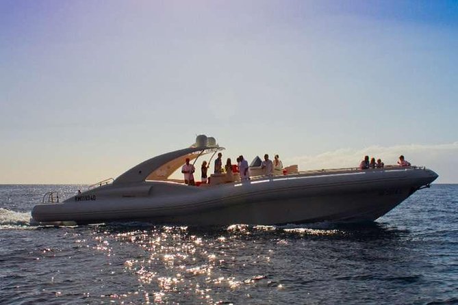 The Worlds Largest RIB luxury 3hrs including lunch and drinks - Wildlife spotting: whales, dolphins, and the chance of a turtle