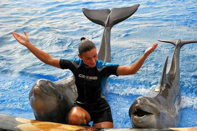 Ticket to Aqualand Tenerife - Dolphin show: the scheduled break you will actually appreciate