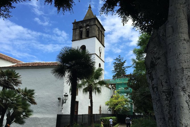 Tour Around the Island - Private VIP Tour in Tenerife - Pickup, timing, and how the day actually flows