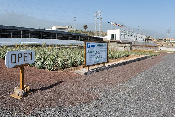 Tour Visiting banana plantation and winery in Tenerife - When the day includes extra stops, manage your expectations