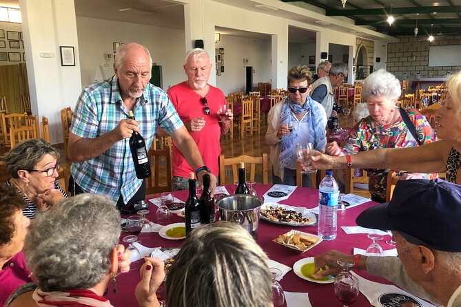 Tour Visiting banana plantation and winery in Tenerife - The guide, the group size, and why timing matters on an 8:00 am start