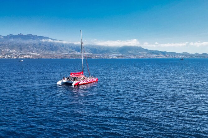 Tour with Whale and Dolphin Watching plus food included - Stop 1: Costa Adeje and the 2.5-hour ZEC conservation cruise