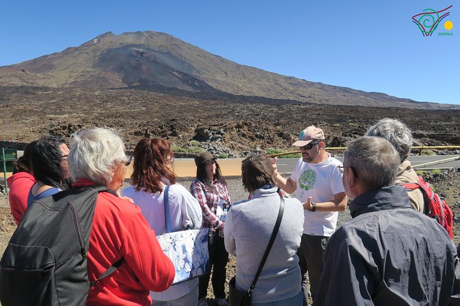 Trekking, wineries, birdwatching, local gastronomy, etc. - How the 6-hour tour works: your choice, then the route gets tailored