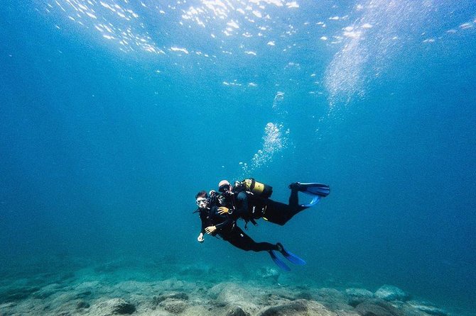 Try Dive in Tenerife - Key highlights worth planning around
