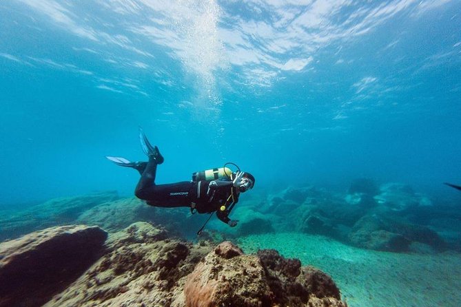 Try Dive in Tenerife - Safety, group size, and the calm that comes from structure