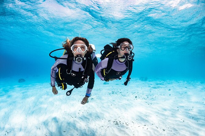Try Dive - PADI Discover Scuba Diving in Tenerife - The 3:00 pm timeline, from check-in to back at the start