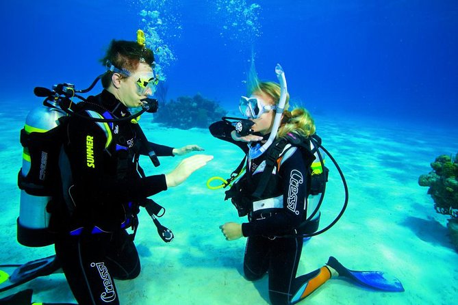 Try Dive - PADI Discover Scuba Diving in Tenerife - Price and value: is $156.07 worth it?