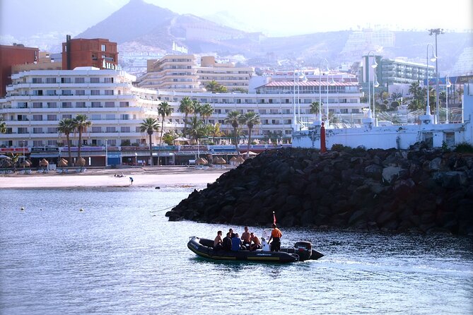 Try Scuba Diving in a turtle area (boat) - Price and value in Tenerife: what $84.66 really buys