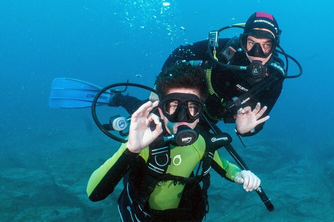 Try Scuba Diving in a turtle area (boat) - The turtle-area snorkel safari, what you can expect to see
